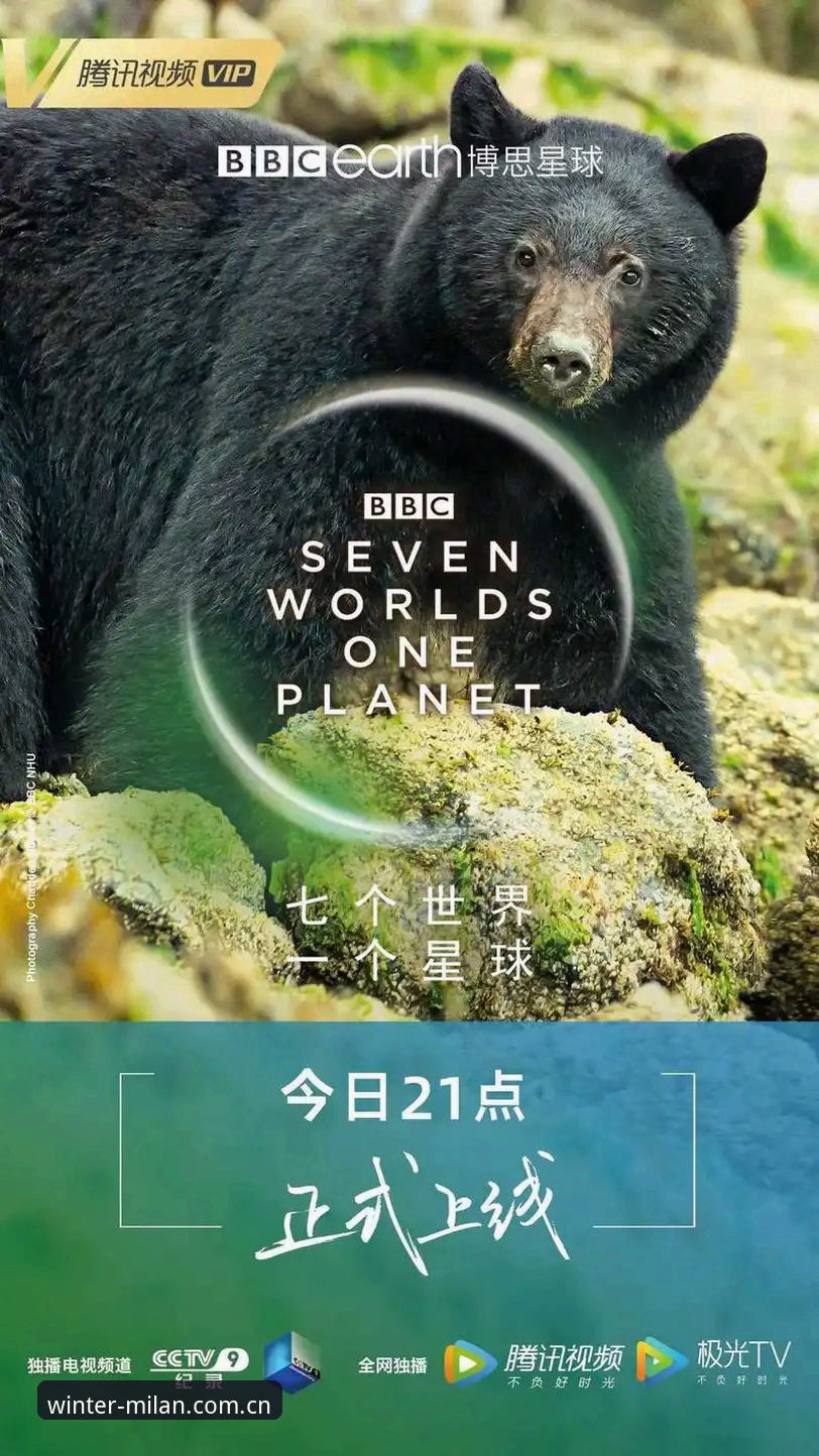 加雷斯·索斯盖特BBC纪录片深度评测：一场关于“改变年轻男性游戏规则”的现实拷问